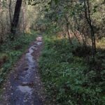 zie de magie op je levenspad